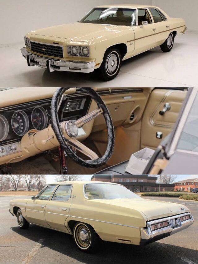 Impala's
